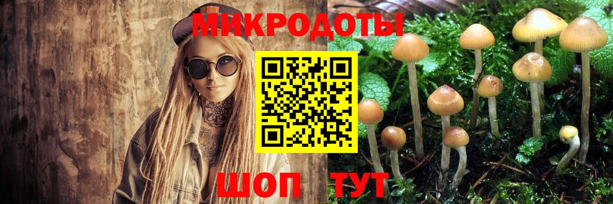Псилоцибиновые грибы Psilocybe  Псилоцибиновые грибы Cubensis  Вход с VPN  Нефтекумск 